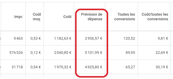 prevision de dépense colonnes personnalisées dans l'interface google ads